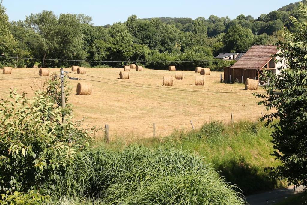 Le Haut Mesnil-3 Bagian luar foto